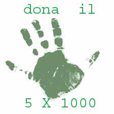 5 x 1000 verde