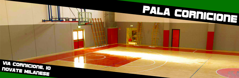 basket