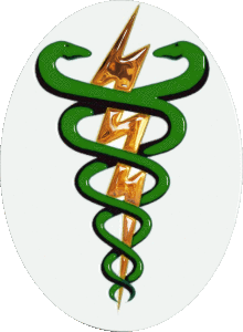 Fisioterapia